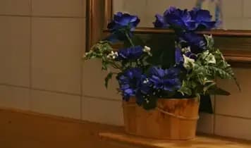 Dettaglio dei fiori sopra al lavandino del bagno