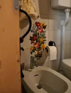 Bidet con sopra un decoupage di fiori applicato sul muro