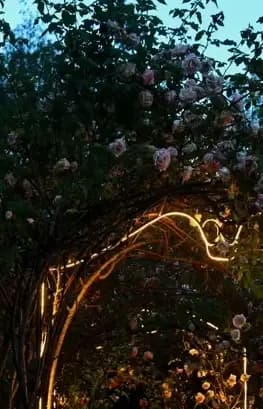 Dettaglio delle luci che sono presenti sull'arco di rose che porta all'entrata del Residence