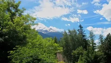 Alberi e cielo visti dal giardino del Residence