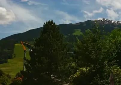 Alberi e cielo, visti dal giardino del Residence