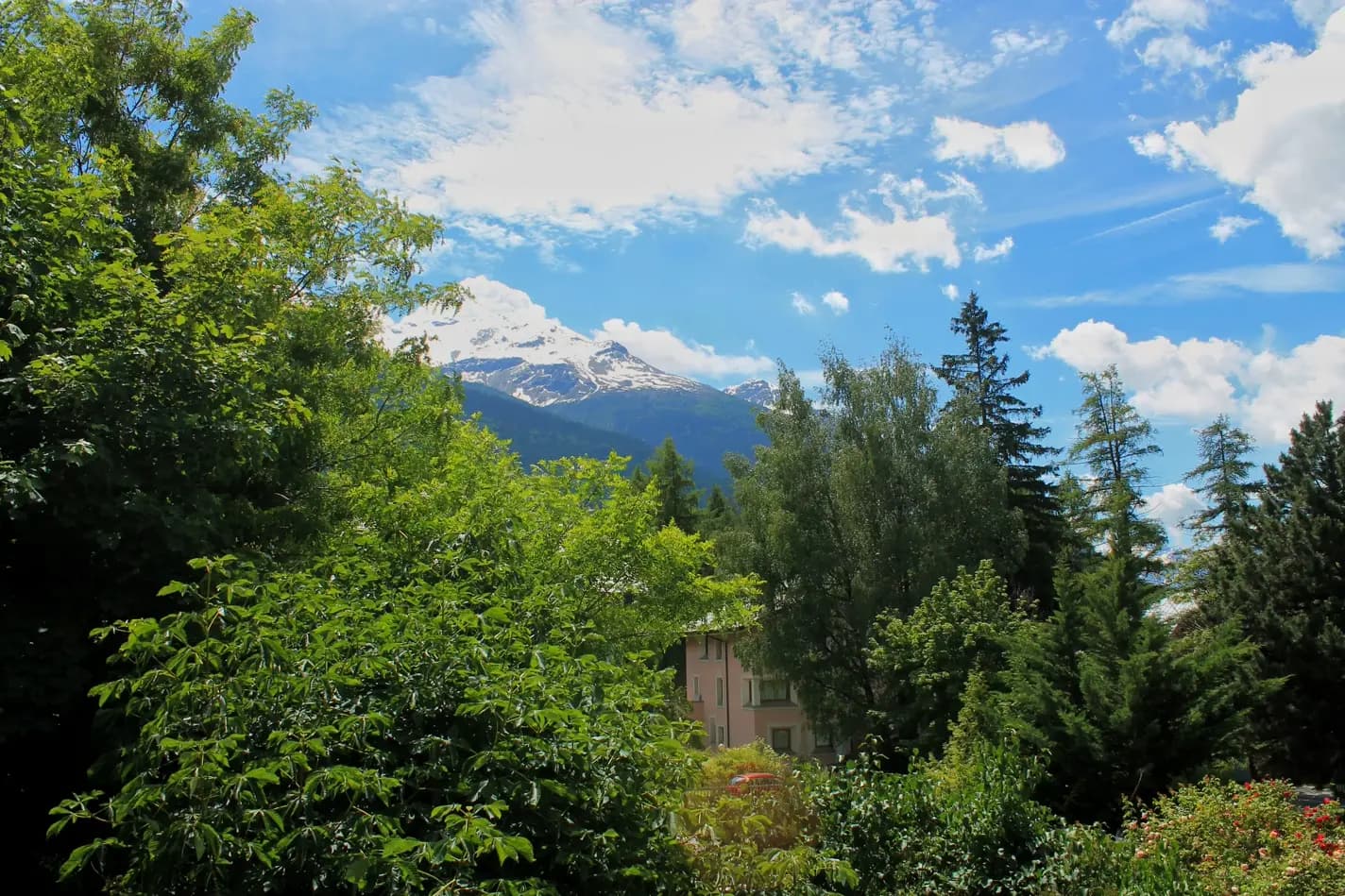 Alberi e cielo visti dal giardino del Residence